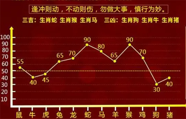 一肖一码100%，构建解答解释落实_7q24.49.27